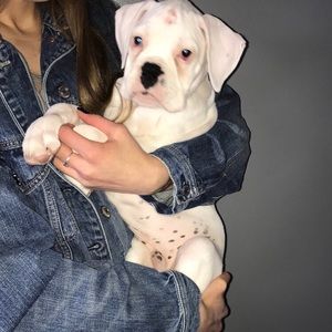 Meet your Posher, Brianna